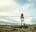 The Oldest Living Things in the World – PDF