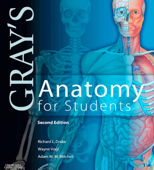 Gray’s Anatomy for Students 2nd Edition