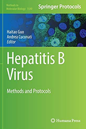 Hepatitis B Virus
