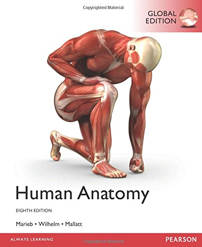 Human Anatomy 8th GLOBAL Edition