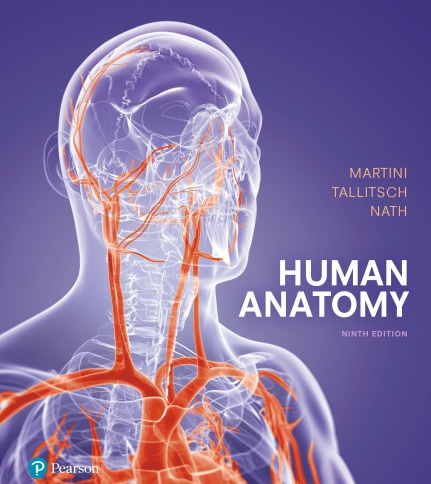 Human Anatomy 9th Edition Frederic Martini