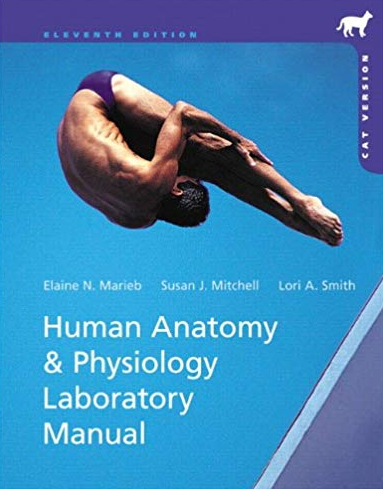 Human Anatomy & Physiology