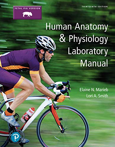 Human Anatomy & Physiology Laboratory Manual 13th Edition Elaine Marieb