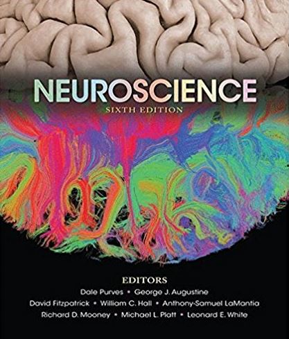 Neuroscience 6th Edition Dale Purves