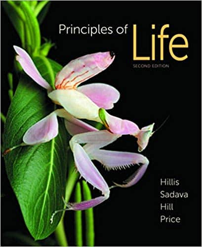 Principles of Life (2nd Edition) – eBook